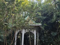 -深圳国际园林花卉博览园