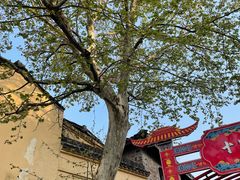 -无锡梅园公园