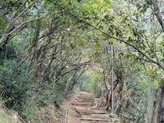 -杭州半山国家森林公园