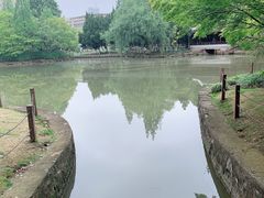-瀛洲公园