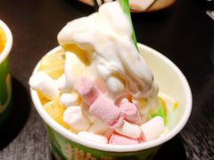 -Salud撒露欧洲冻酸奶(蓝色港湾店)