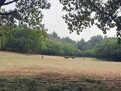 -广州雕塑公园