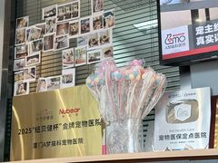 -御宝贝·A梦猫科宠物医院(国际猫友好医院)