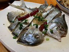 姜蓉蒸仓鱼-园林美食城·本土农家菜(杨和镇店)