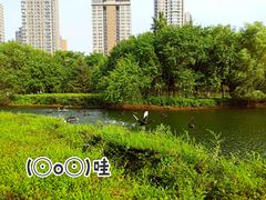 -长白岛森林公园