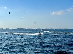 -大连海昌东方水城