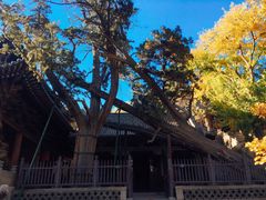 -晋祠公园