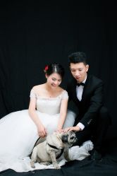 -菲林婚纱摄影工作室