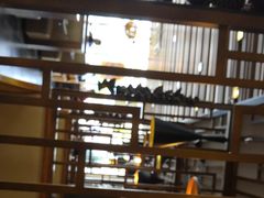 -维园港式茶餐厅(龙岗盛平店)