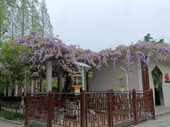 -郑和公园