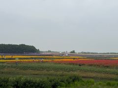 -江苏三台山国家森林公园