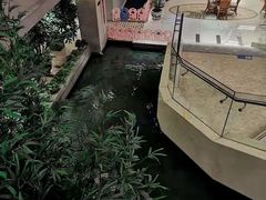 -海天一色海景自助餐厅(西港花园店)