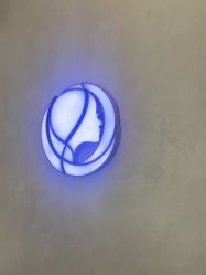 -卡尔诗·科技美肤连锁