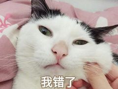 -超悦铜锣湾KTV(绍兴袍江店)