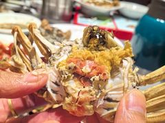 -再回首泡椒牛蛙(骆驼店)