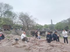 -巢湖姥山岛