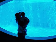 -海合安成都极地海洋公园
