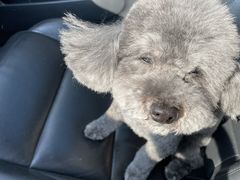 -熊小胖宠物生活馆(天华园店)