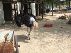 -武汉紫薇都市田园