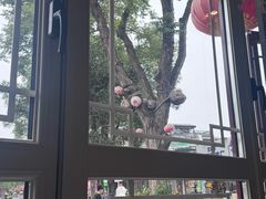 -东兴顺爆肚张