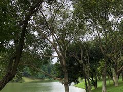 -东莞植物园