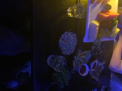 -萧邦音乐会所KTV(向西店)