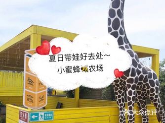 上海夏日带娃就到#小蜜蜂农场#超有趣️