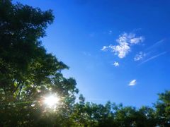 -永和大王(小厨·东四十条店)