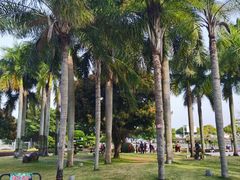 -石炮台公园