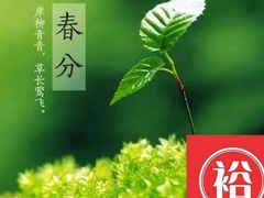 -裕和堂中医推拿艾灸(太古汇臻品店)