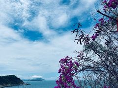 -三亚西岛海洋文化旅游区