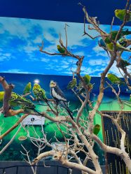 -未来动物城动物主题公园(大悦城店)