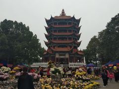 -富乐山