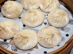 -莱莱小笼·乔艾