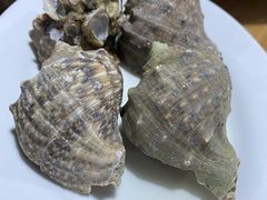 白灼红螺-海门岛七号餐厅