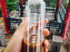 -燕窝岭