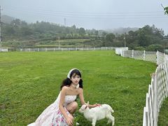 -大姆山草场
