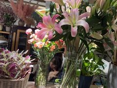 -春暖花开(西溪店)