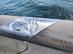 -星光大道
