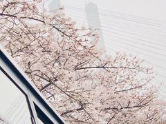 -上海南浦大桥长途旅游客运站