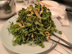 -红樱桃·新派辽菜(北行店)