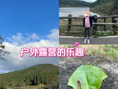 -武陵山森林公园