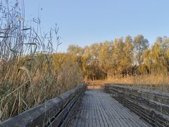 -马家湾湿地公园