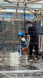 -PIPIKINGDOM皮皮王国欢乐号(欢乐海岸购物中心店)