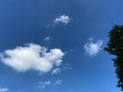 -漕河泾街道图书馆(漕河泾社区文化活动中心店)