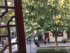 -杨裕兴(十全街店)