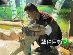 -上海大自然野生昆虫馆(东方明珠·爬宠昆虫探索中心)