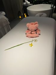 -VELEE·SPA高定疗愈会所