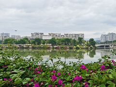 -光明港公园