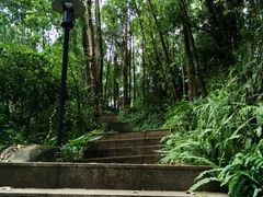 -南岗山公园